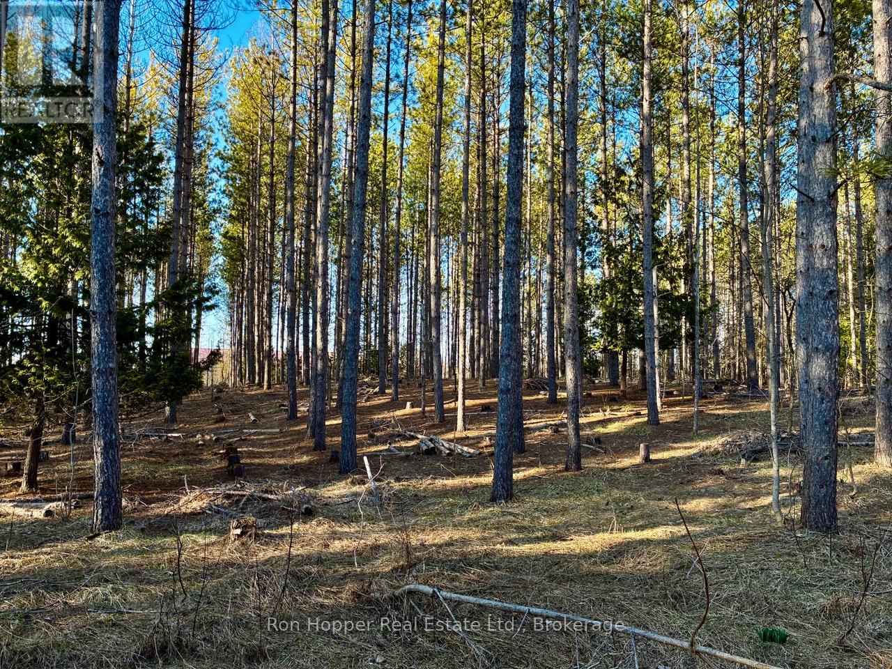 Lt 24 Conc Rd 6 Road, Chatsworth, Ontario  N0H 1K0 - Photo 6 - X13091550