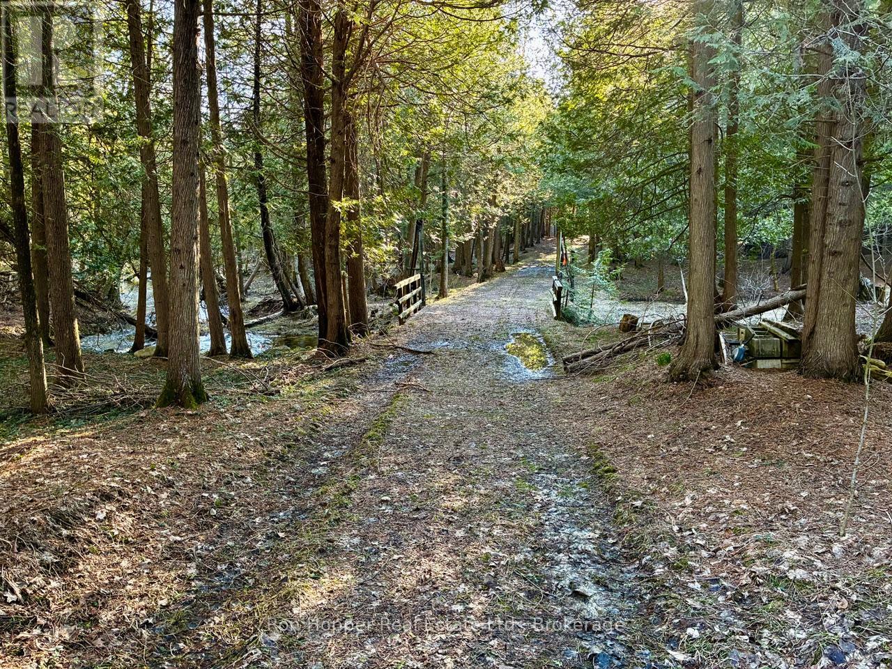 Lt 24 Conc Rd 6 Road, Chatsworth, Ontario  N0H 1K0 - Photo 7 - X13091550
