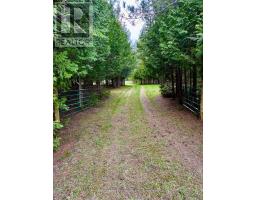 LT 24 CONC RD 6 ROAD, Chatsworth, Ontario