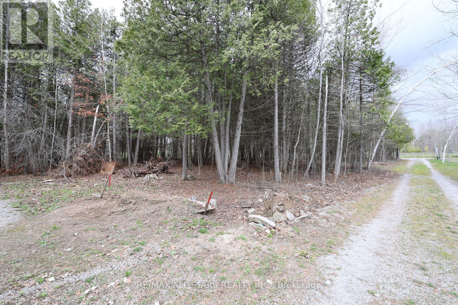 58 Fire Route 98, Trent Lakes, Ontario  K0M 1A0 - Photo 45 - X13089120