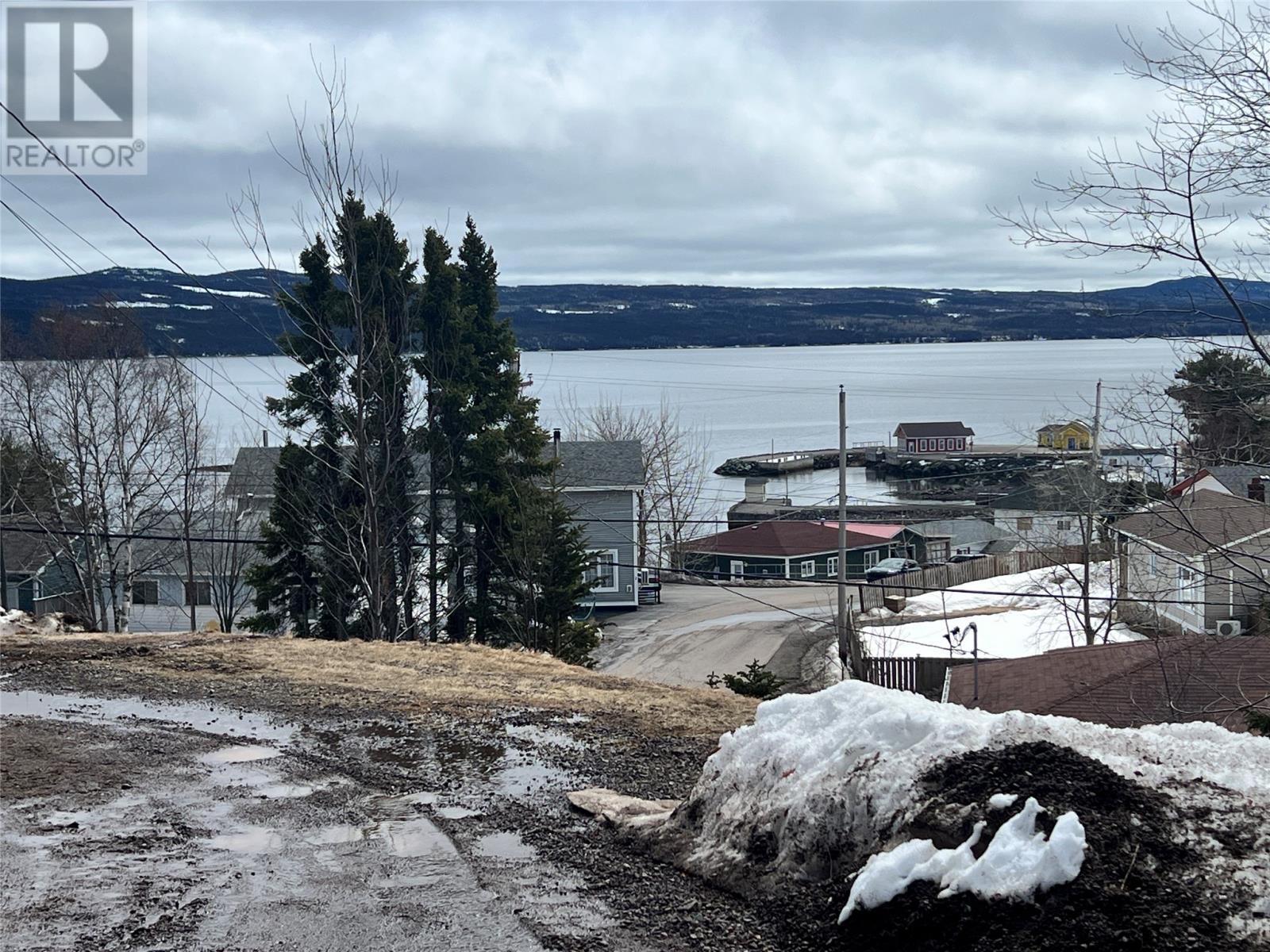 276 Main Street, Springdale, Newfoundland & Labrador  A0J 1T0 - Photo 17 - 1296309