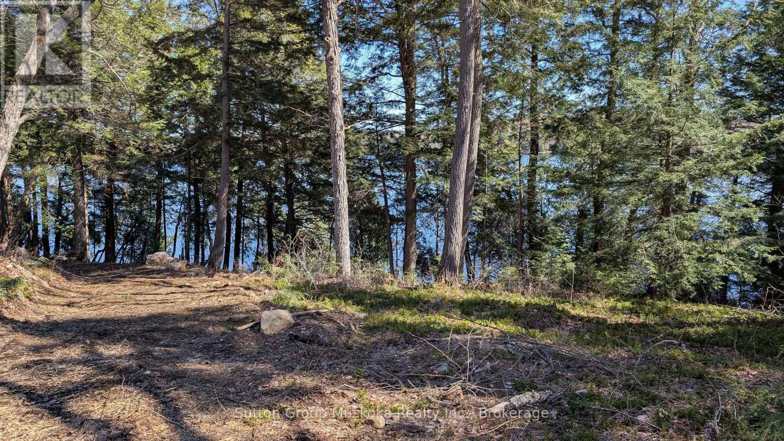Lot 1 Esig Lane, Lake Of Bays, Ontario  P1H 2J6 - Photo 3 - X13052862
