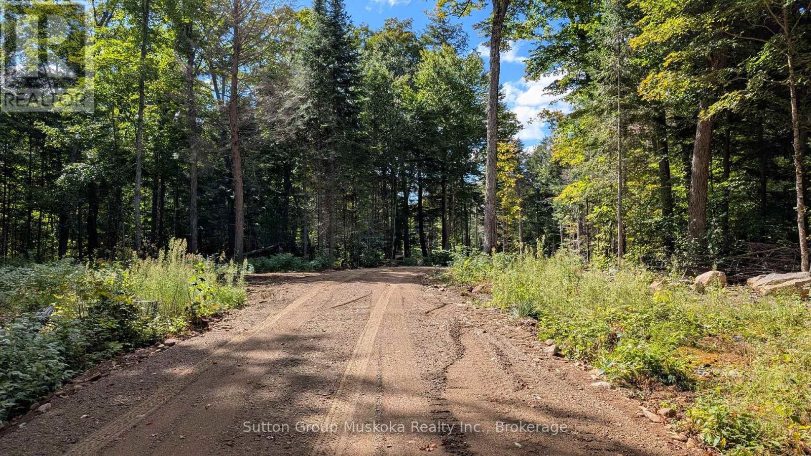 Lot 2 Esig Lane, Lake Of Bays, Ontario  P1H 2J6 - Photo 14 - X13053716