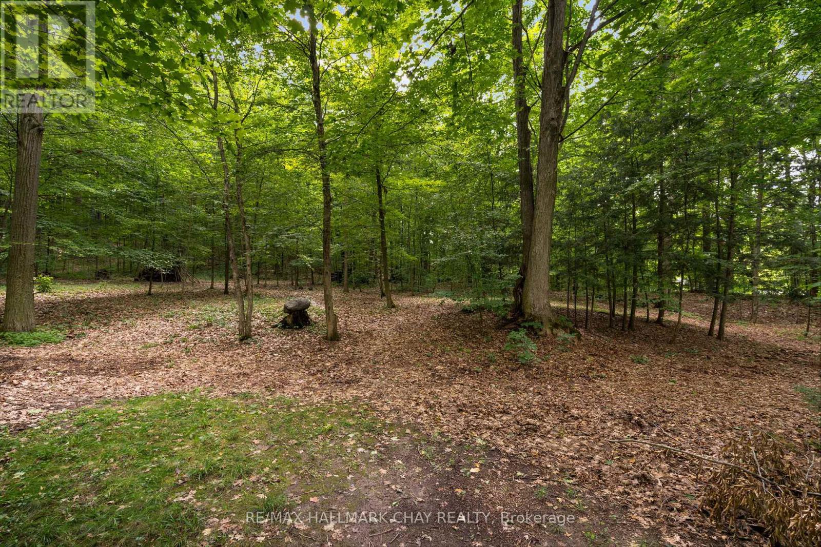 26 Eleventh Street, Midland, Ontario  L4R 4L9 - Photo 48 - S13091286