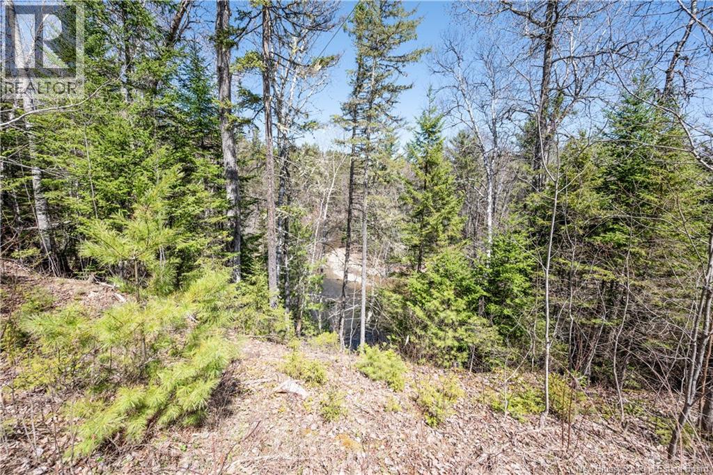 27 Parkindale Road, Pollett River, New Brunswick  E4Z 3A6 - Photo 40 - NB138055