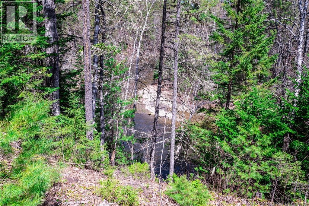 27 Parkindale Road, Pollett River, New Brunswick  E4Z 3A6 - Photo 39 - NB138055
