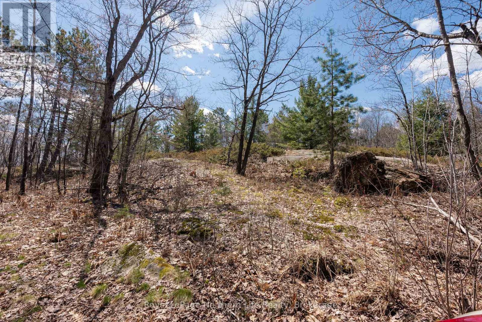 405 Bear Creek Road, Nipissing, Ontario  P0H 1H0 - Photo 44 - X13091674