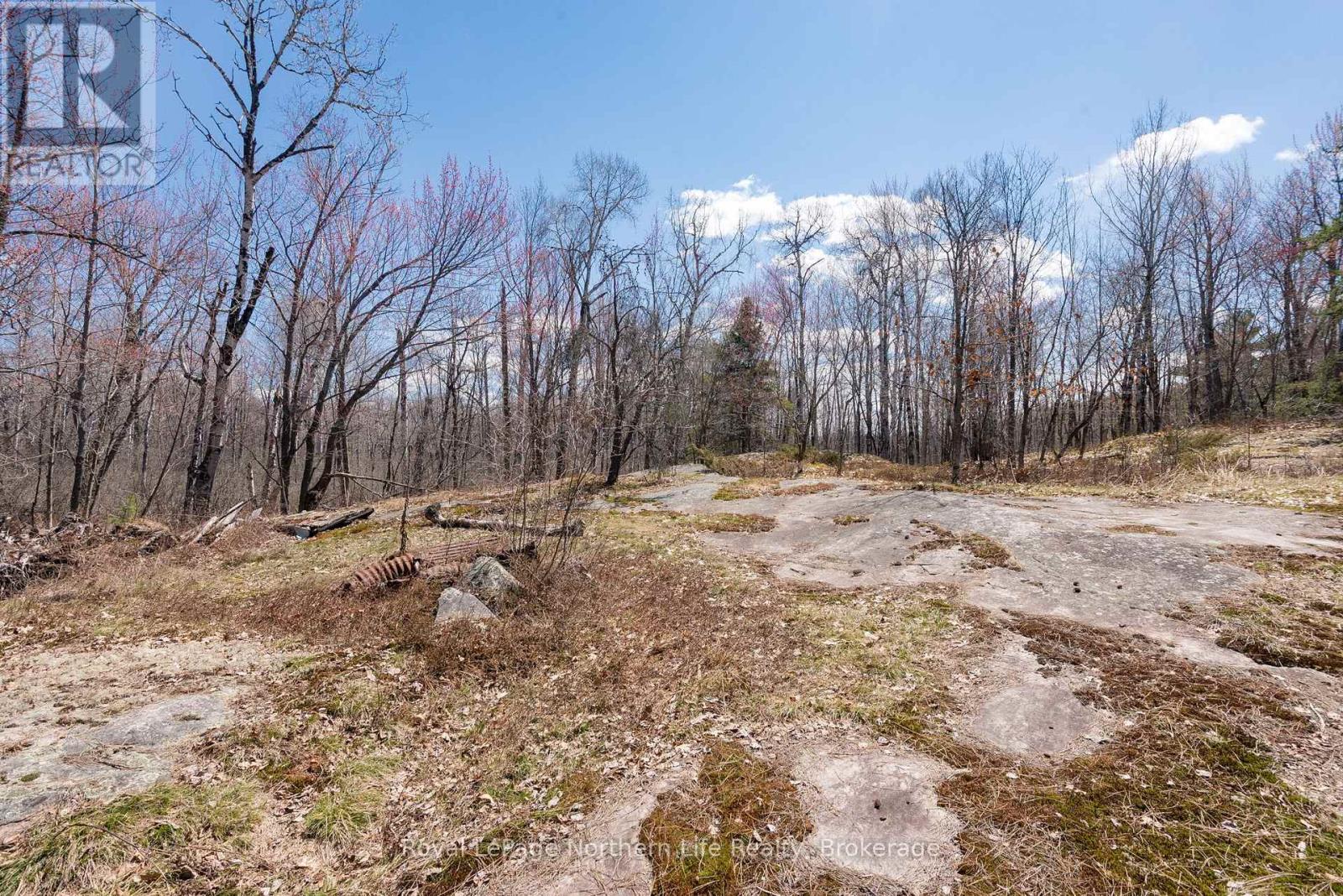 405 Bear Creek Road, Nipissing, Ontario  P0H 1H0 - Photo 45 - X13091674