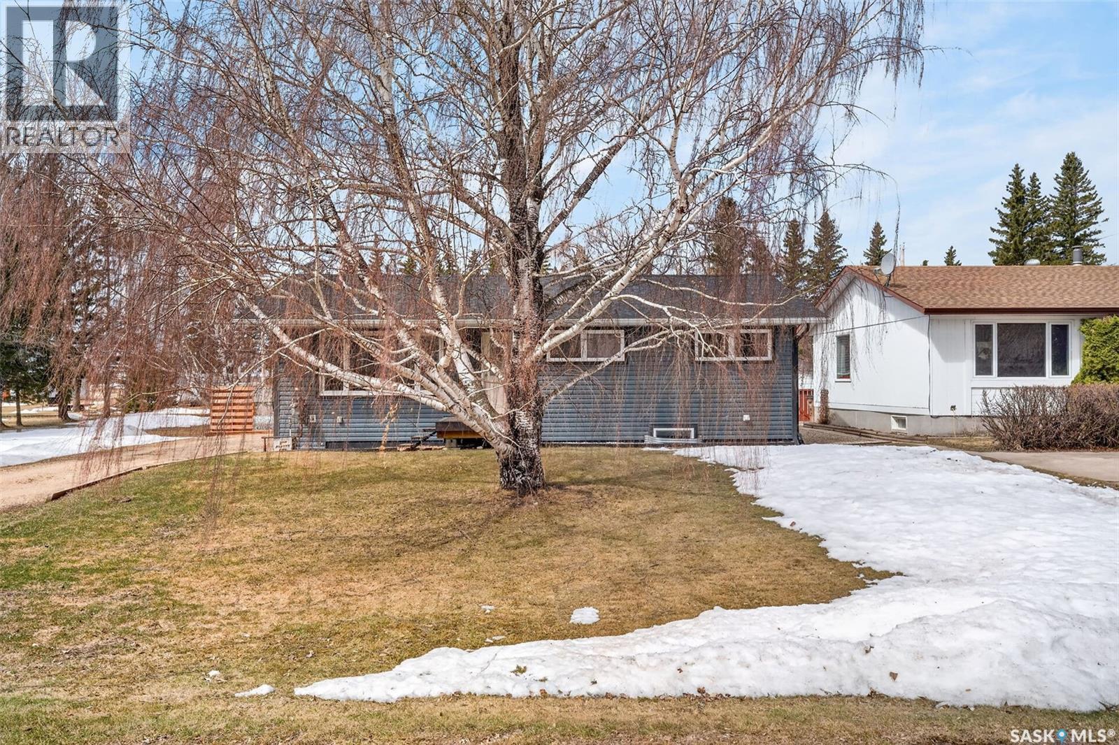 209 Albert Avenue S, Rose Valley, Saskatchewan  S0E 1M0 - Photo 2 - SK035002