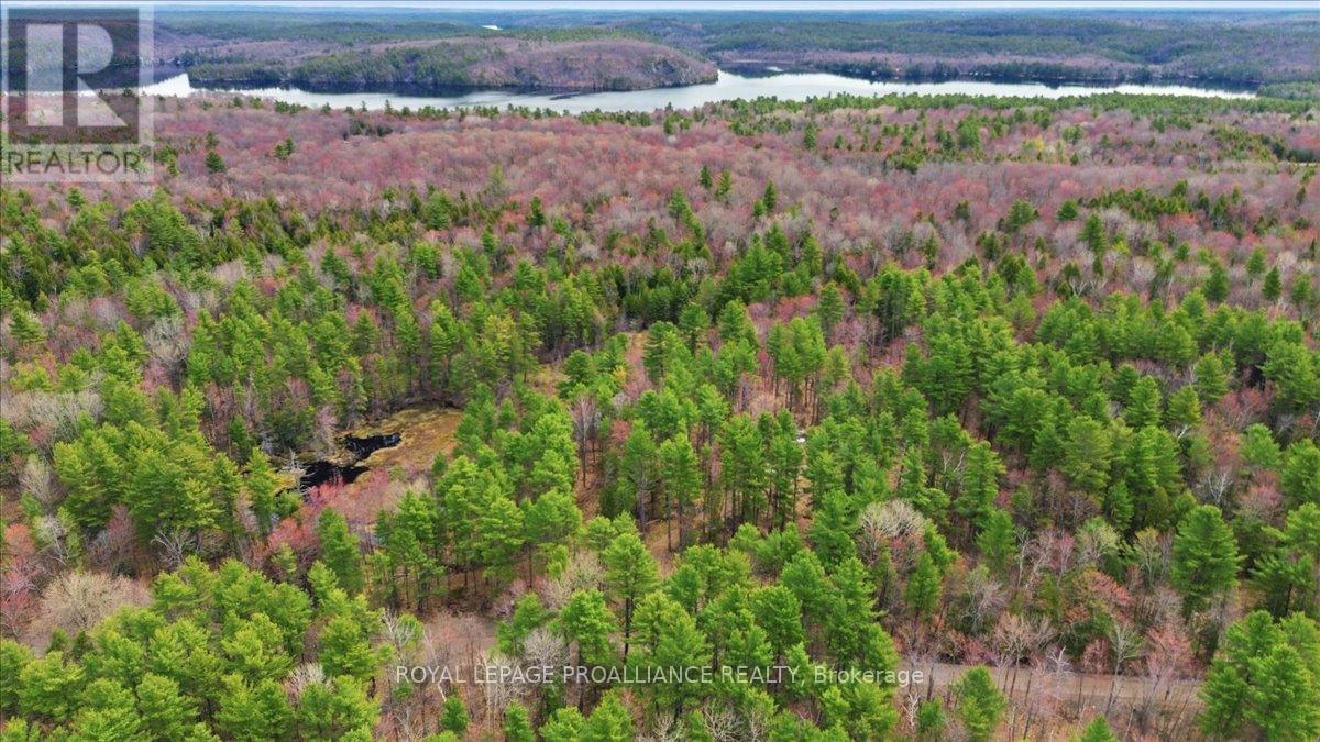 265 Addington Road 4, Frontenac, Ontario  K0H 1K0 - Photo 13 - X13091790