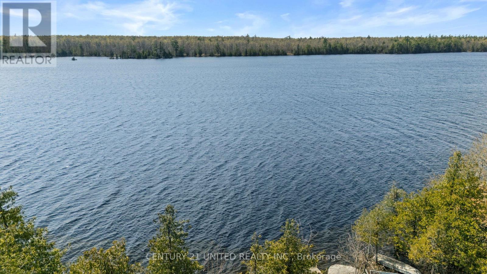 11 Birch Terrace, Trent Lakes, Ontario  K0L 1J0 - Photo 35 - X13092036
