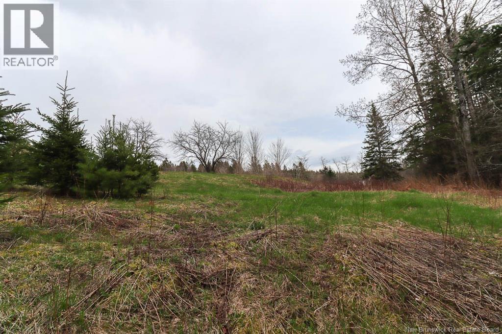 475 Route 124, Norton, New Brunswick  E5T 1R3 - Photo 29 - NB138835
