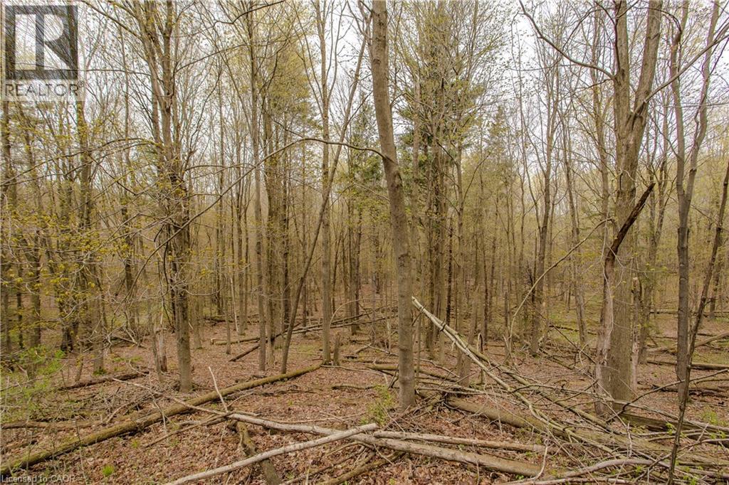 2431 Britannia Road, Burlington, Ontario  L7P 0E9 - Photo 37 - 40825881