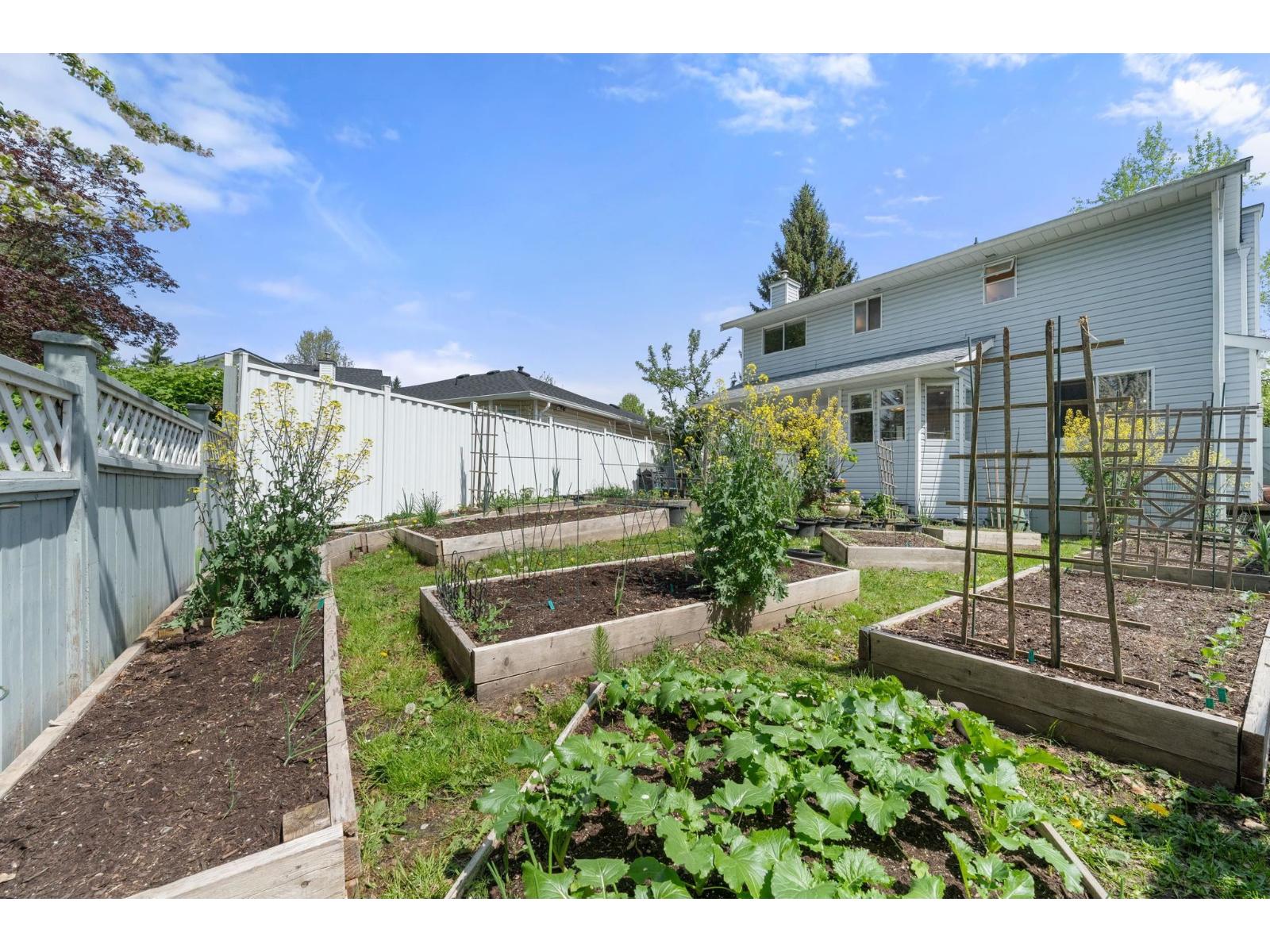 9539 215a Street, Langley, British Columbia  V3A 6X5 - Photo 29 - R3119416