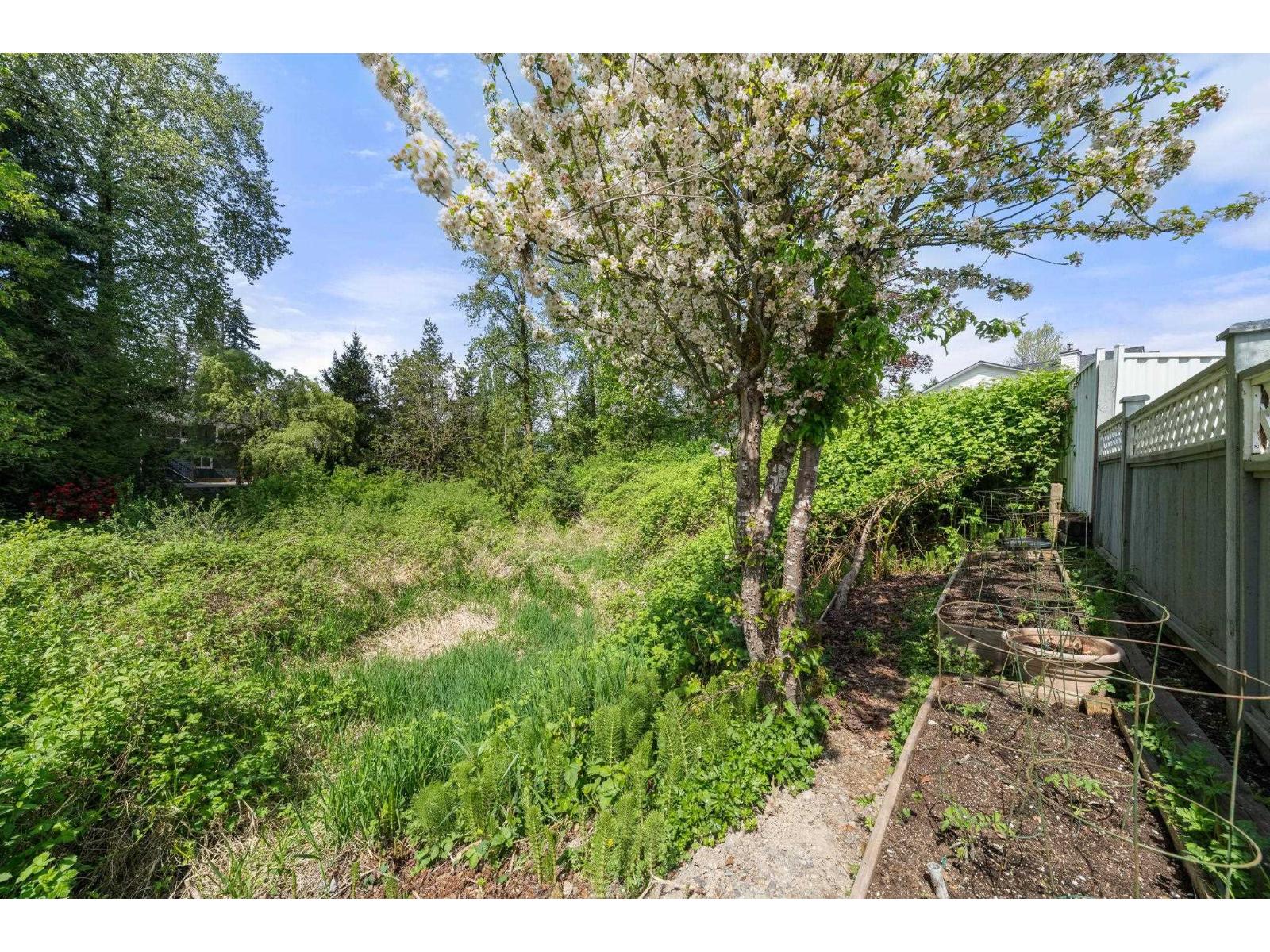 9539 215a Street, Langley, British Columbia  V3A 6X5 - Photo 33 - R3119416
