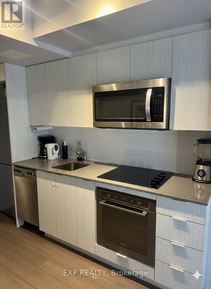 1102 - 105 Champagne Ave Avenue S, Ottawa, Ontario  K1S 5T5 - Photo 10 - X13092202