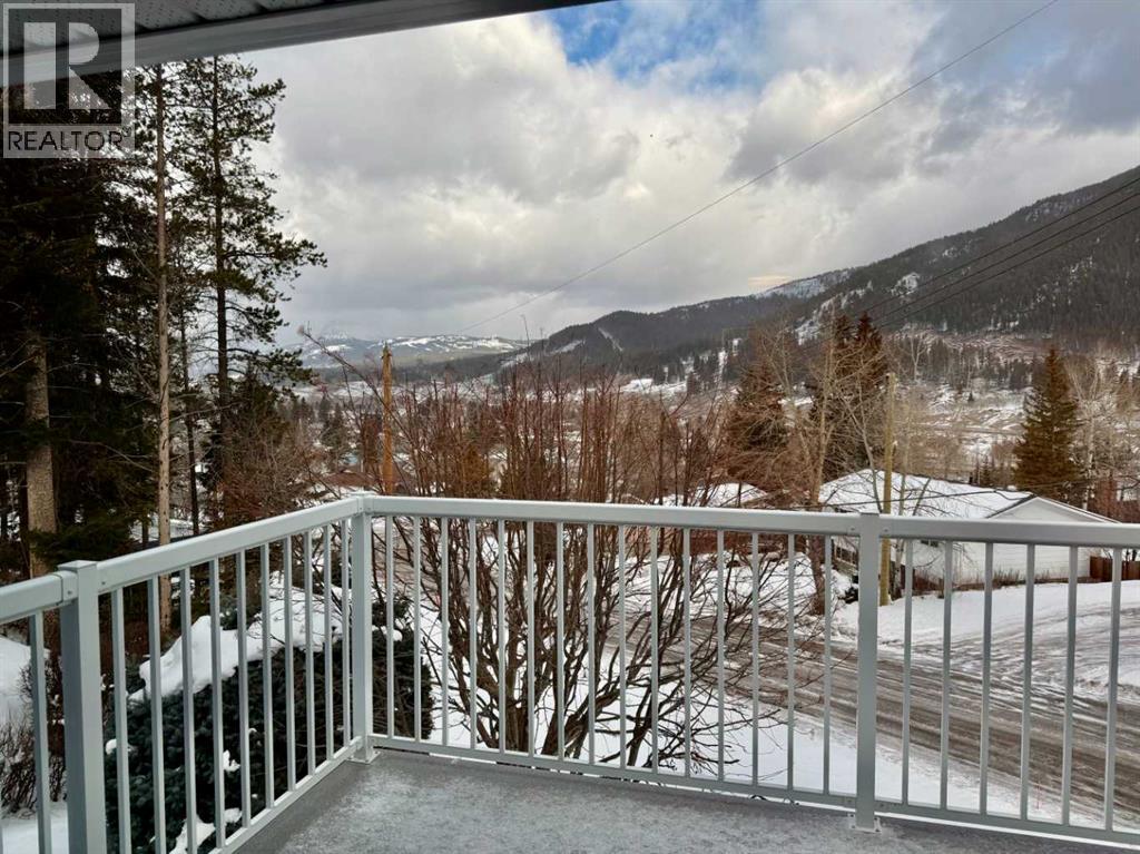 13521 15 Avenue, Blairmore, Alberta  T0K 0E0 - Photo 5 - A2289484