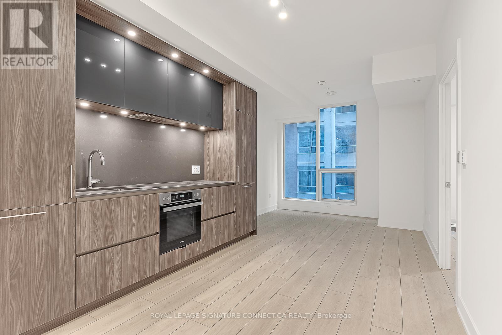 405 - 15 Mercer Street, Toronto, Ontario  M5V 1H2 - Photo 3 - C13092264