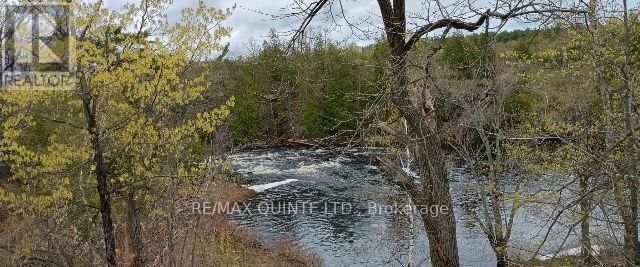 88 Price Road, Tweed, Ontario K0K 3J0 - Photo 11 - X13081520