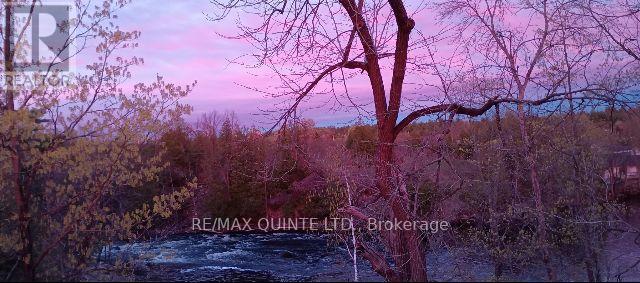 88 Price Road, Tweed, Ontario K0K 3J0 - Photo 10 - X13081520