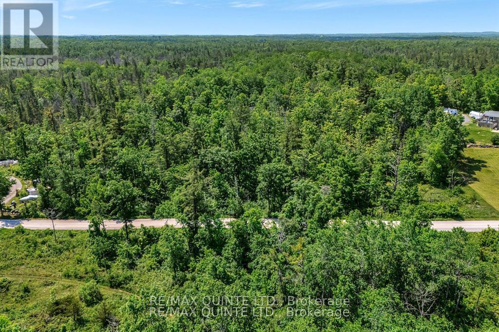00 Osborne Crescent, Marmora And Lake, Ontario  K0K 2M0 - Photo 16 - X13092548