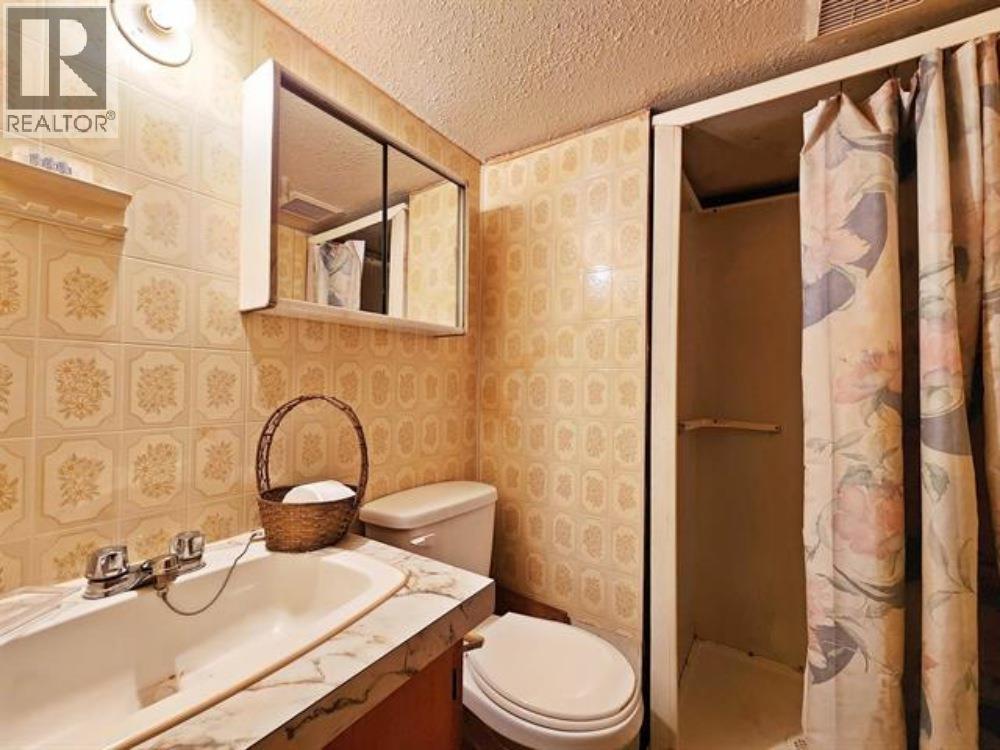 436 Vaughan Street, Quesnel, British Columbia  V2J 2T4 - Photo 17 - R3120407