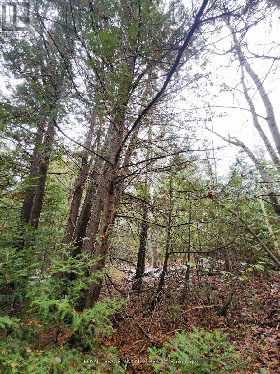 0 Ashworth Road, Uxbridge, Ontario  L0E 1T0 - Photo 2 - N13092528