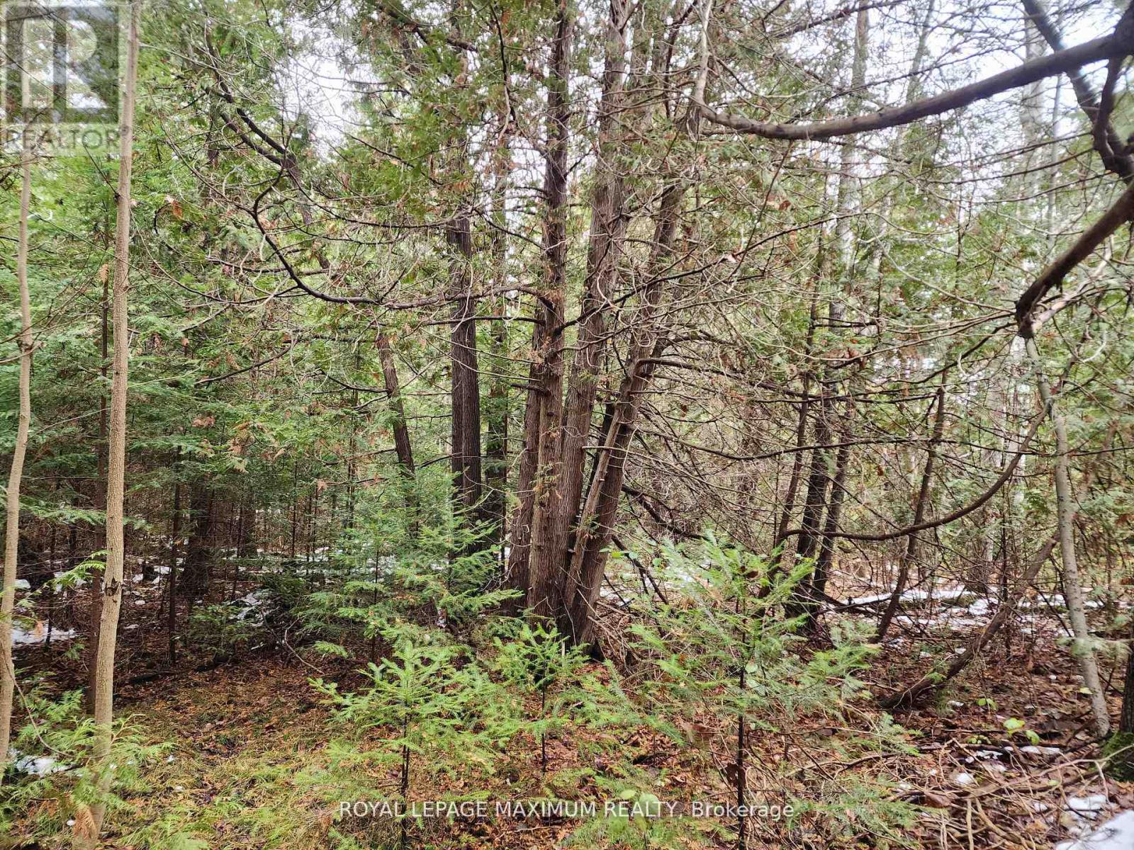 0 Ashworth Road, Uxbridge, Ontario  L0E 1T0 - Photo 3 - N13092528