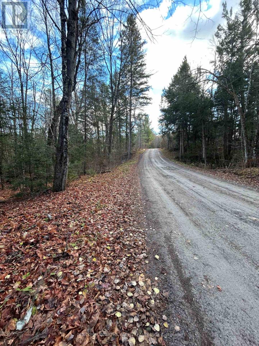 0 Mill Lake Road, North Kawartha, Ontario  K0L 1A0 - Photo 12 - X13092704