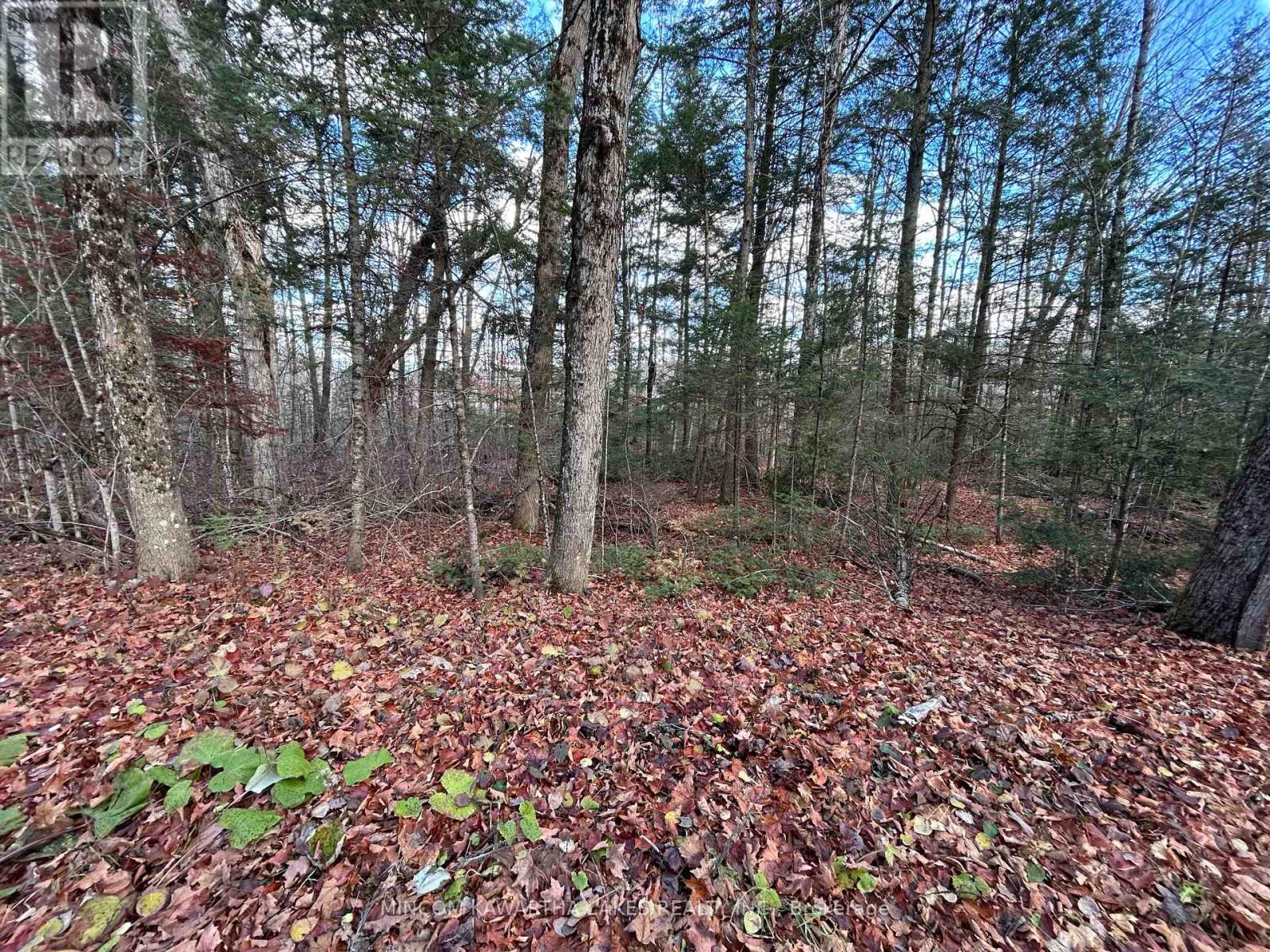 0 Mill Lake Road, North Kawartha, Ontario  K0L 1A0 - Photo 8 - X13092704