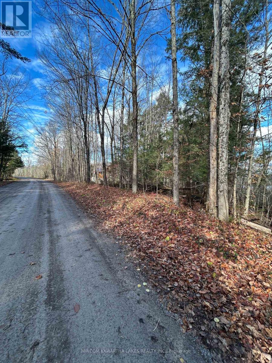 00 Mill Lake Road, North Kawartha, Ontario  K0L 1A0 - Photo 1 - X13092716