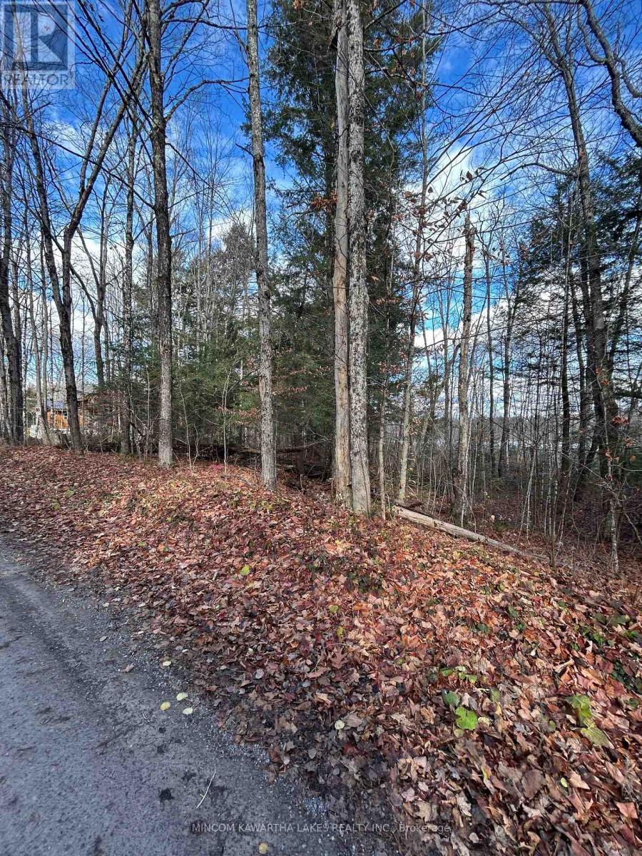 00 Mill Lake Road, North Kawartha, Ontario  K0L 1A0 - Photo 17 - X13092716