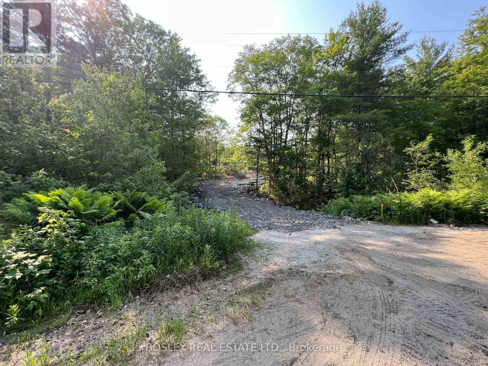 1874 Highway 11 N, Gravenhurst, Ontario  P0E 1G0 - Photo 12 - X13092510