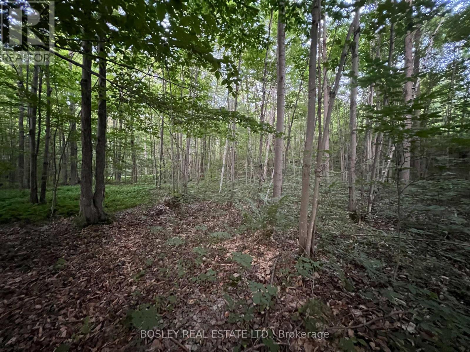 1874 Highway 11 N, Gravenhurst, Ontario  P0E 1G0 - Photo 3 - X13092510