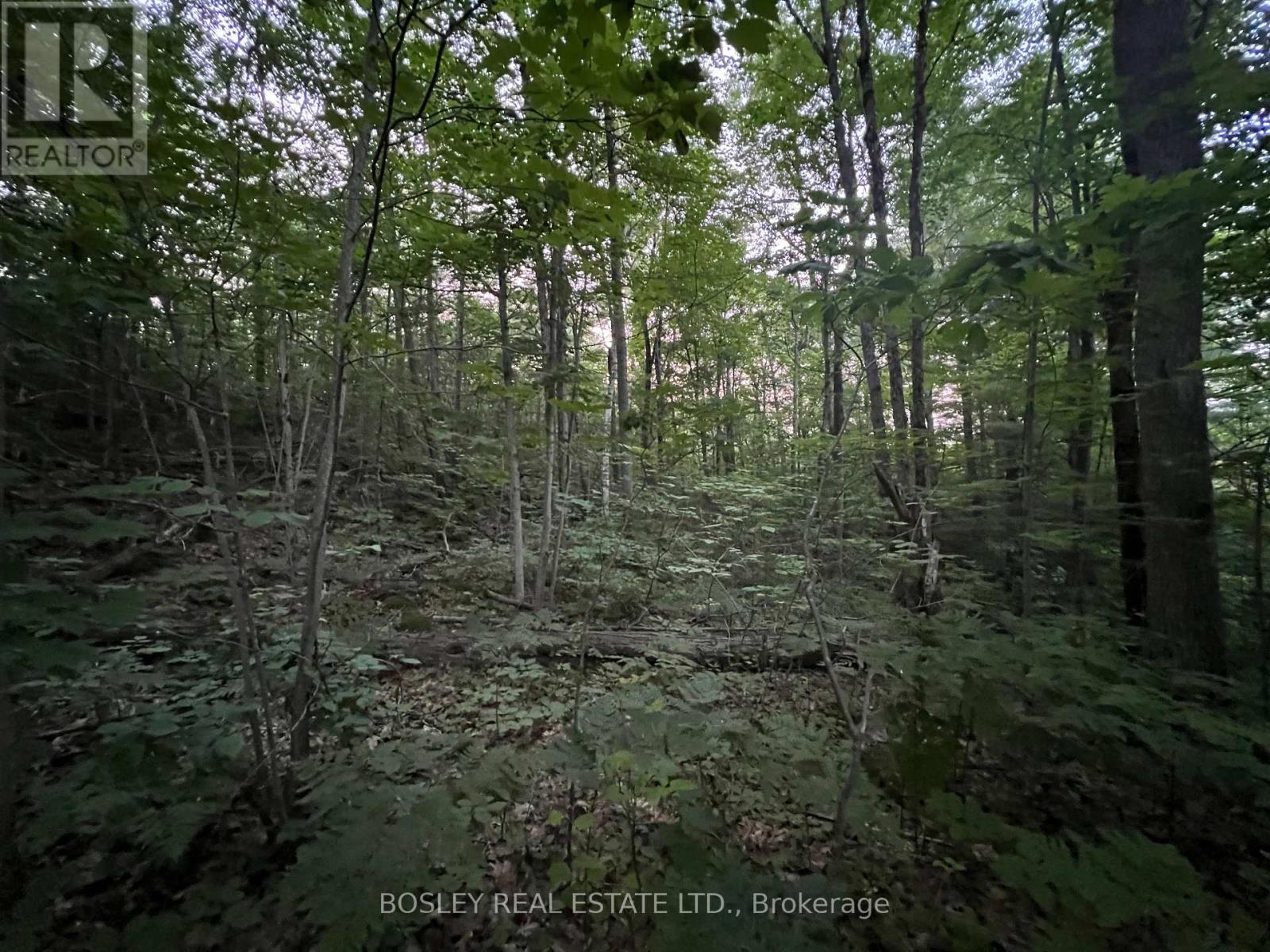1874 Highway 11 N, Gravenhurst, Ontario  P0E 1G0 - Photo 4 - X13092510