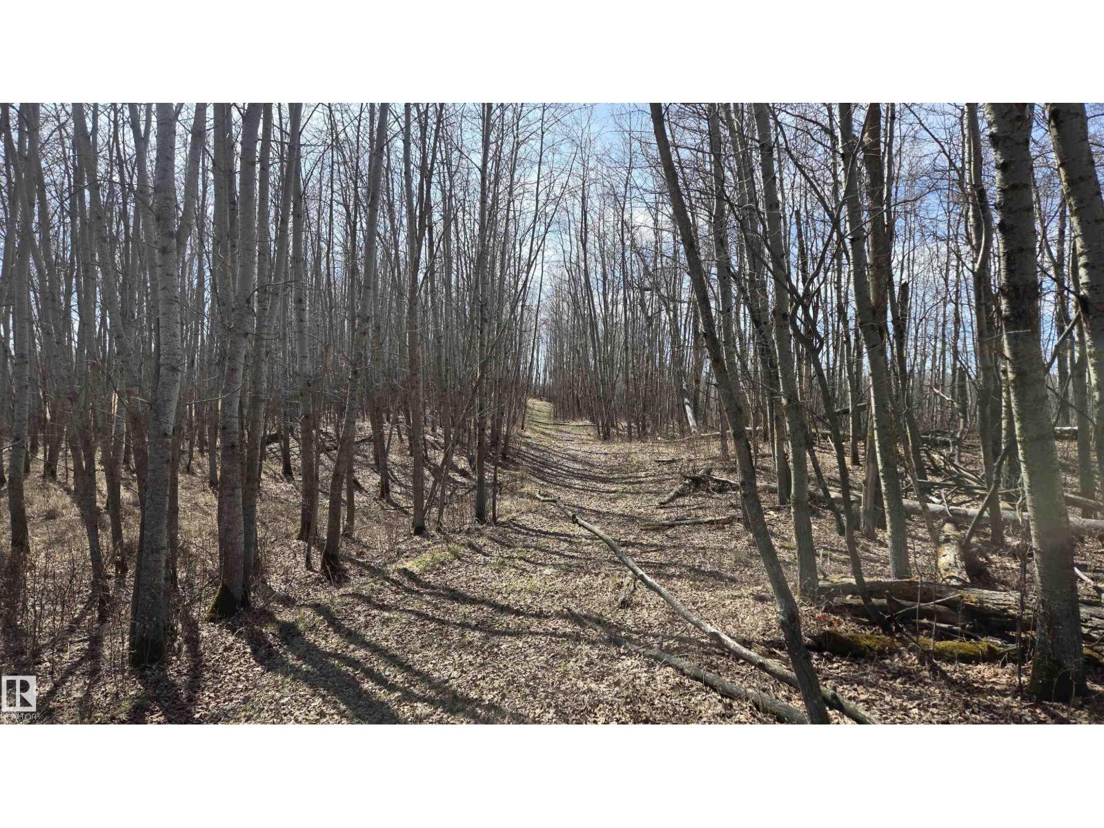 11 Twin Lakes Dr, Rural Lamont County, Alberta  T0B 2R0 - Photo 21 - E4477853