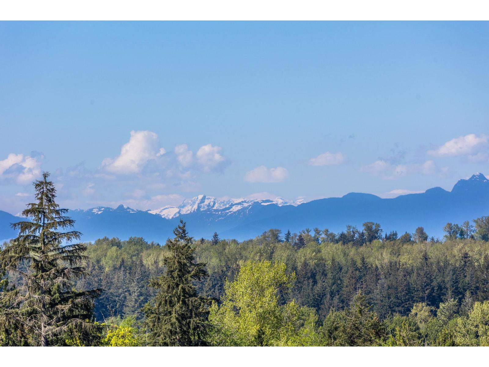 162 210 Street, Langley, British Columbia  V2Z 2G6 - Photo 22 - R3118177