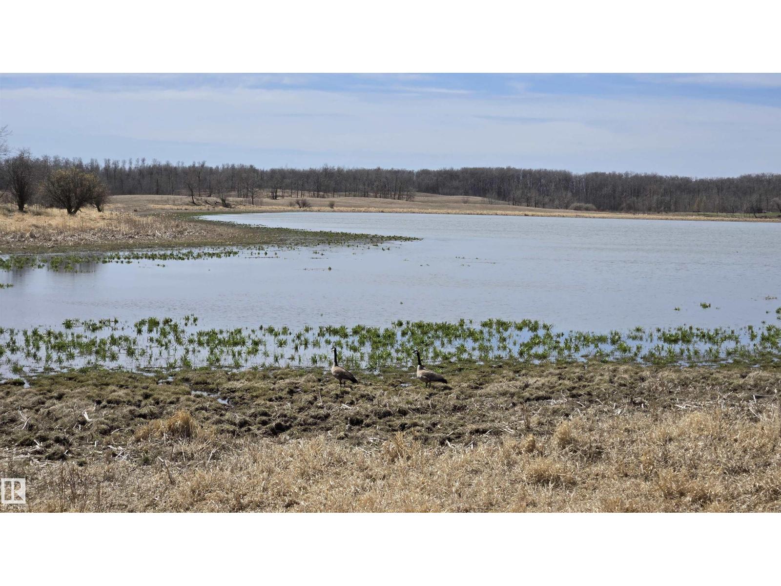 11 Twin Lakes Dr, Rural Lamont County, Alberta  T0B 2R0 - Photo 40 - E4477853