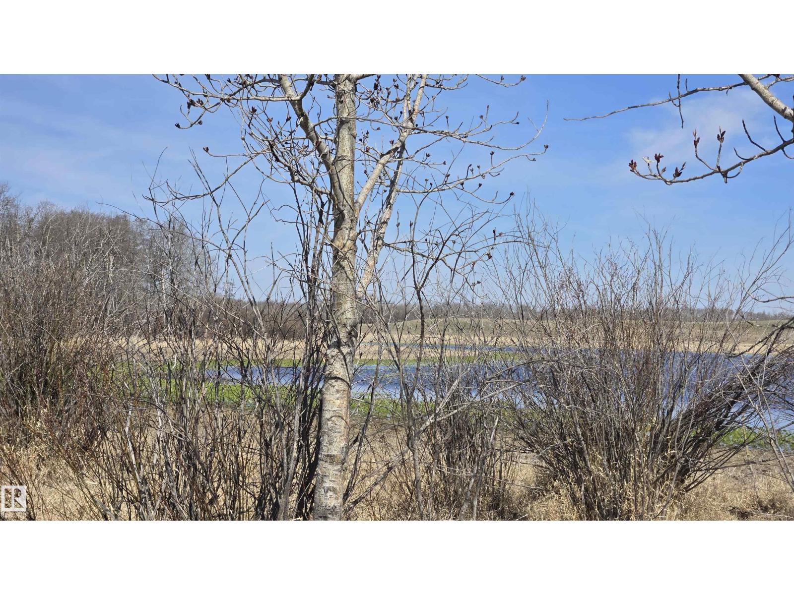 11 Twin Lakes Dr, Rural Lamont County, Alberta  T0B 2R0 - Photo 10 - E4477853