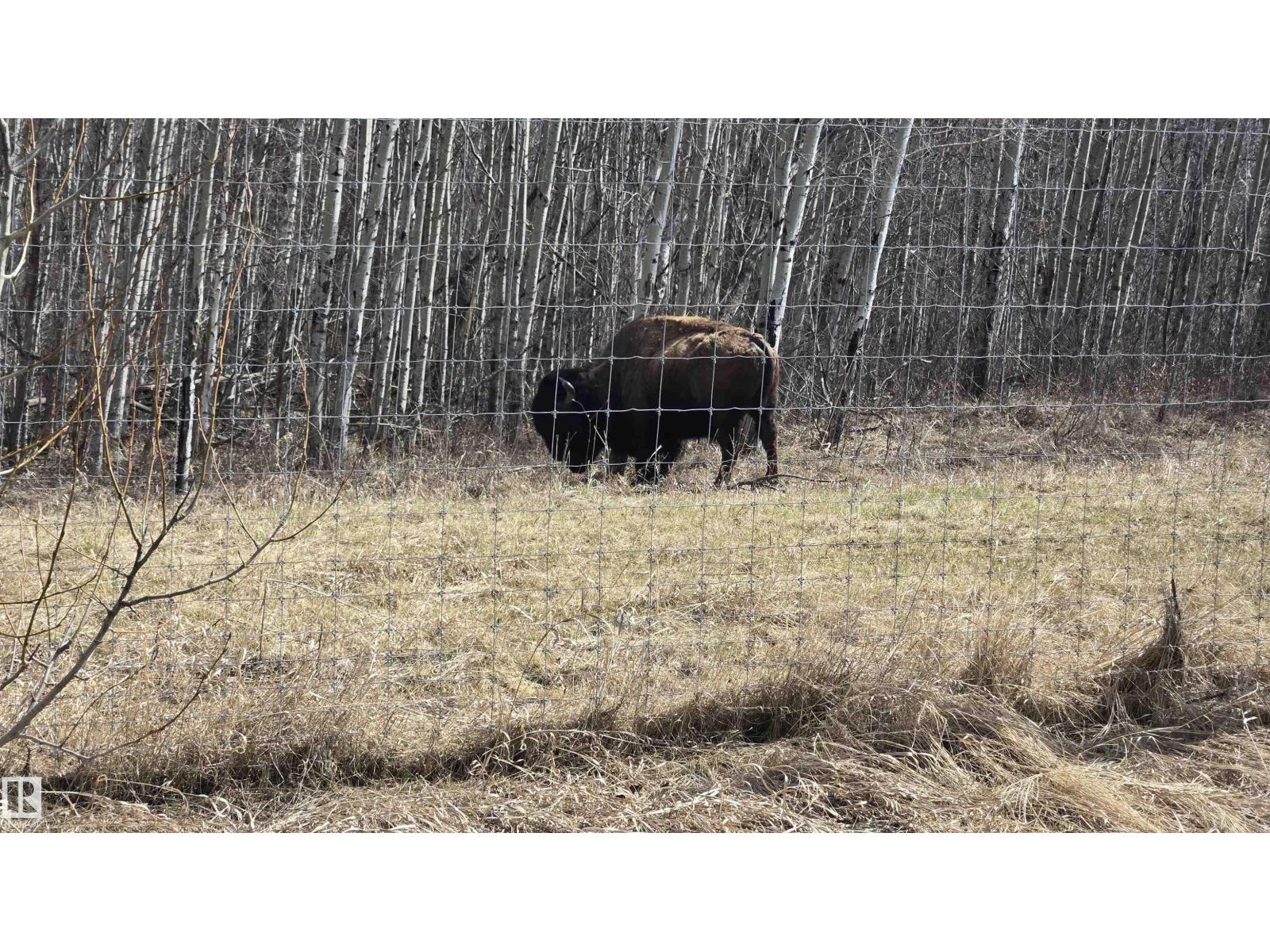 11 Twin Lakes Dr, Rural Lamont County, Alberta  T0B 2R0 - Photo 41 - E4477853