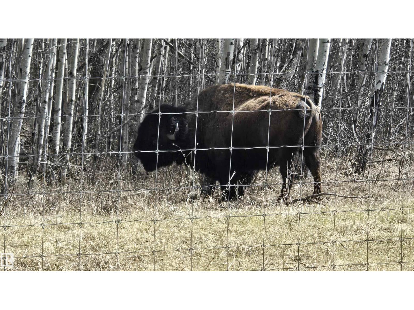 11 Twin Lakes Dr, Rural Lamont County, Alberta  T0B 2R0 - Photo 42 - E4477853