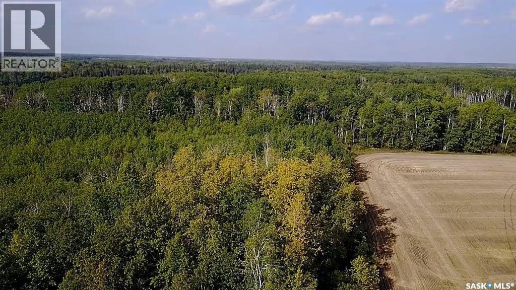 Rm334 Preeceville Land, Preeceville Rm No. 334, Saskatchewan  S0A 0W0 - Photo 8 - SK034836