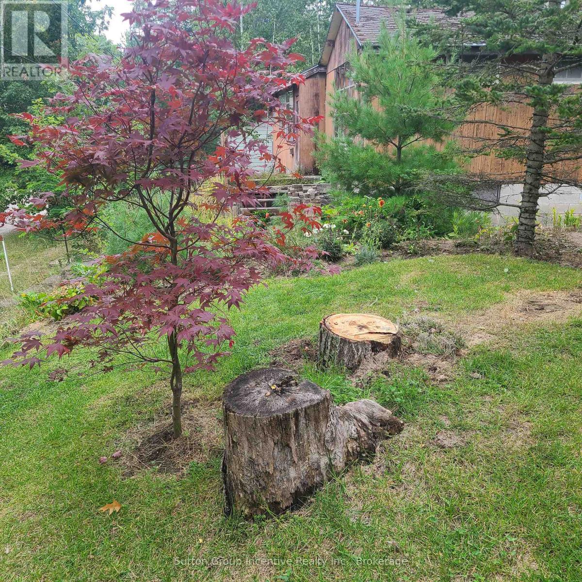 203 Park Road, Tiny, Ontario  L0L 1P1 - Photo 28 - S13093018