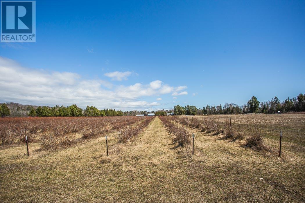 46 Collver Rd, Thessalon, Ontario  P0R 1L0 - Photo 43 - SM260802