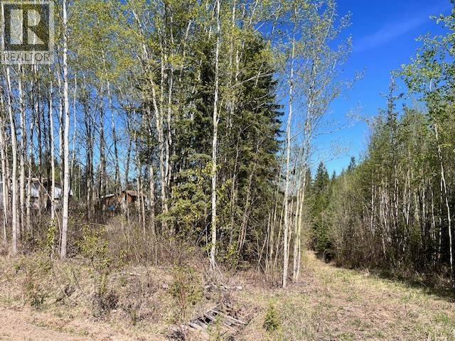 Lot 2 Bourgeois Road, Quesnel, British Columbia  V2J 6B9 - Photo 4 - R3120128