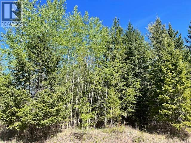 Lot 2 Bourgeois Road, Quesnel, British Columbia  V2J 6B9 - Photo 5 - R3120128