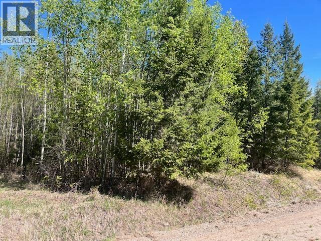Lot 2 Bourgeois Road, Quesnel, British Columbia  V2J 6B9 - Photo 6 - R3120128