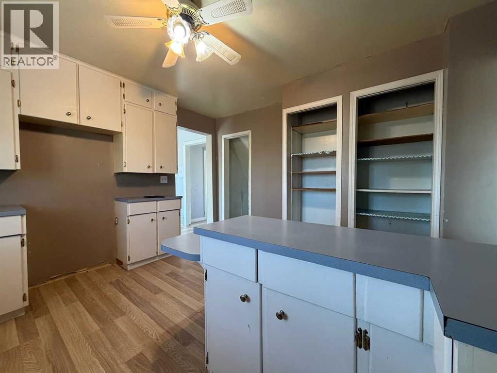 5204 50 Street, Strome, Alberta  T0B 4H0 - Photo 6 - A2306780