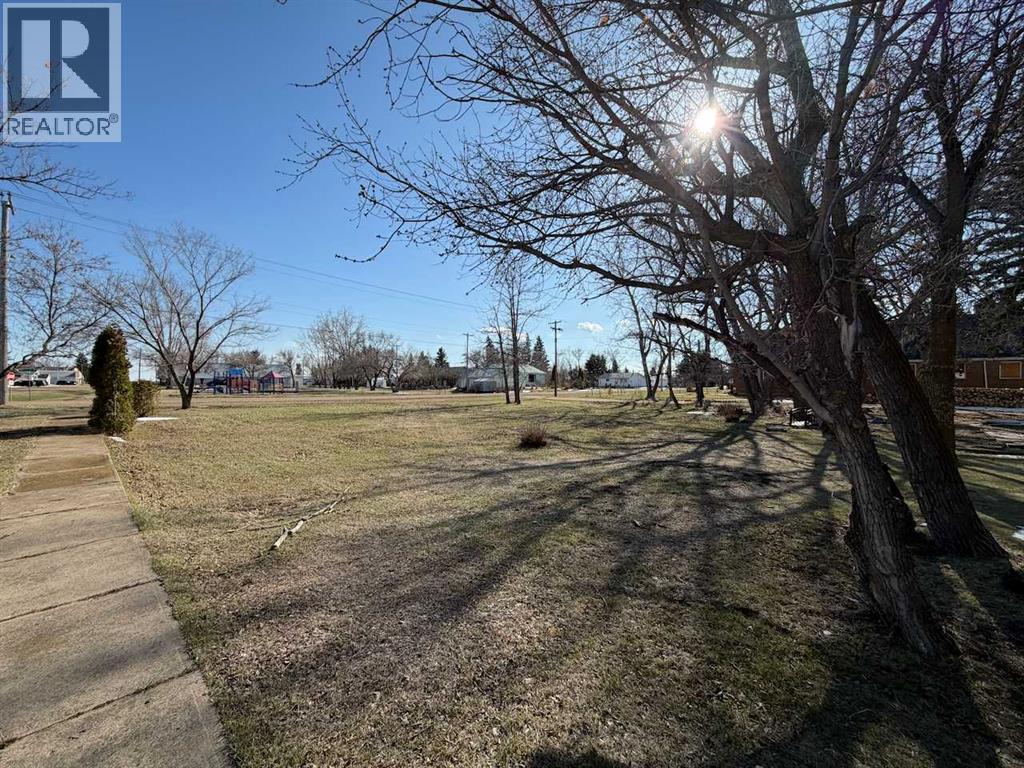 5204 50 Street, Strome, Alberta  T0B 4H0 - Photo 18 - A2306780
