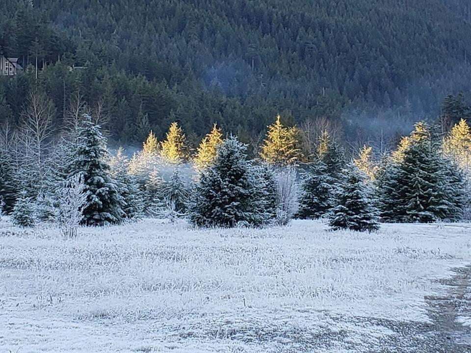 Sve60 Old Hope Princeton Highway, Sunshine Valley, Hope, British Columbia  V0X 1L5 - Photo 26 - R3120400